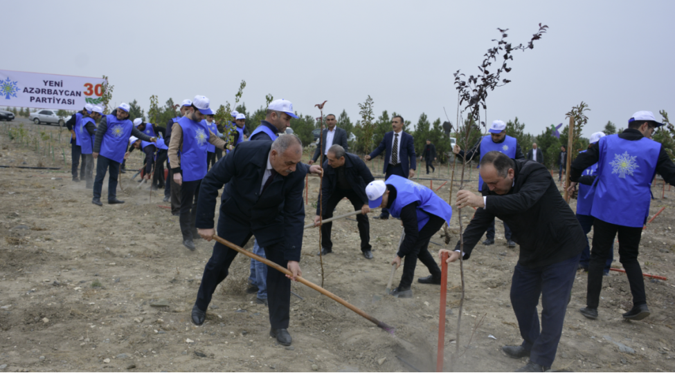 yap-in-rayon-ve-sheher-teshkilatlari-agacekme-kampaniyasi-kechirib-foto