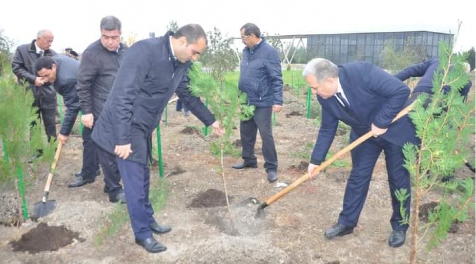 yeni-azerbaycan-partiyasinin-tesis-edilmesinin-30-illiyi-munasibetile-kurdemirde-agacekme-aksiyasi-kechirilib-foto