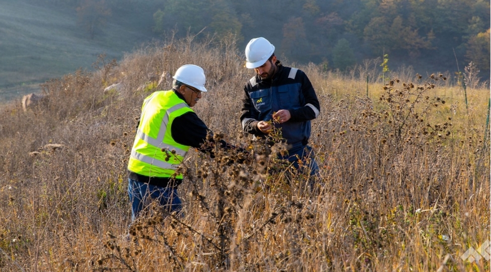 azergold-terefinden-qirmizi-kitaba-daxil-edilmish-nadir-bitki-novlerinin-choxaldilmasi-ve-reintroduksiyasi-layihesi-icra-edilir