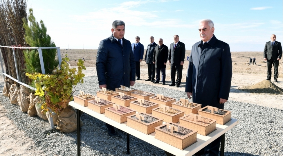 naxchivanda-yeni-azerbaycan-partiyasinin-yaradilmasinin-30-illiyi-munasibetile-30-min-agac-ekilib