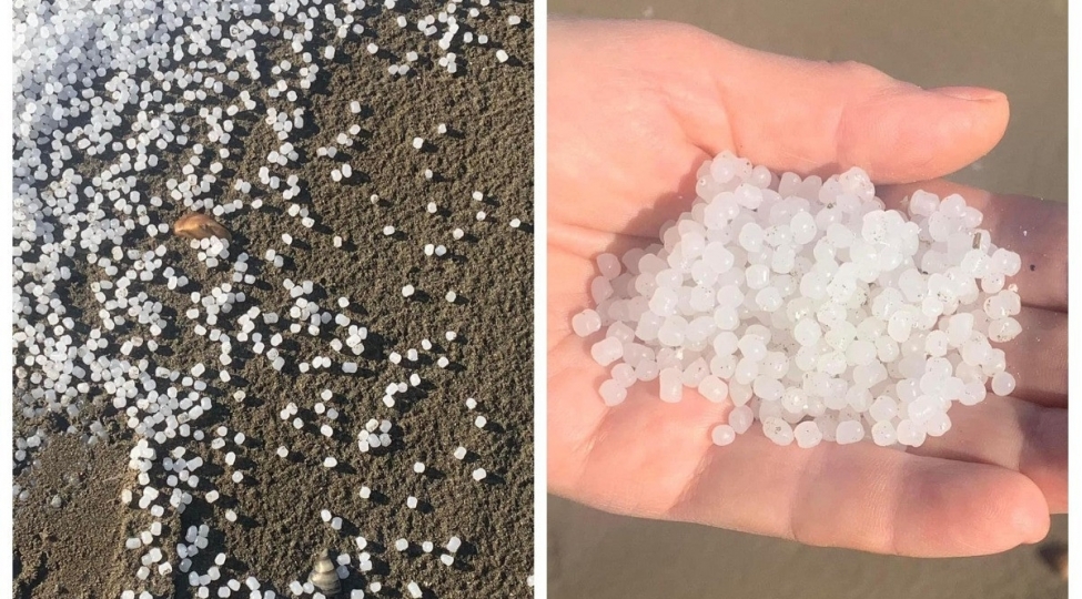 paytaxtda-deniz-sahilinde-choxlu-sayda-plastik-hissecik-ashkarlanib-yenilenib