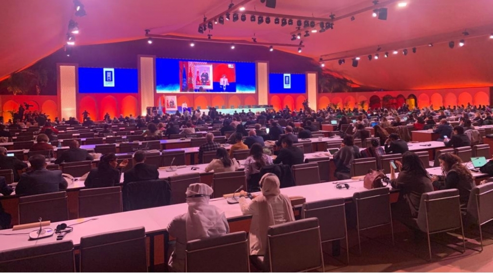 unesco-da-molla-nesreddin-letifeleri-ve-chay-medeniyyeti-ile-bagli-nominasiya-nezerden-kechirilecek