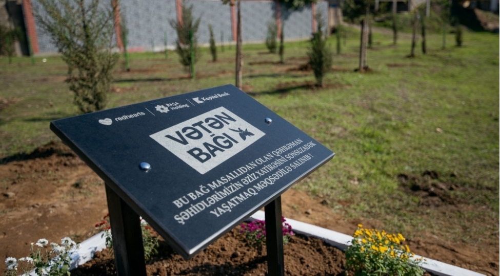 daha-6-rayonda-veten-bagi-yaradilib-