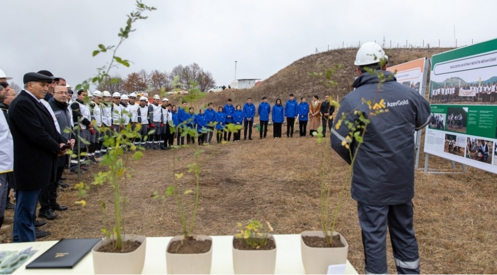 dashkesende-qirmizi-kitaba-daxil-edilmishnadir-bitki-novlerinin-reintroduksiyasi-heyata-kechirilib-foto