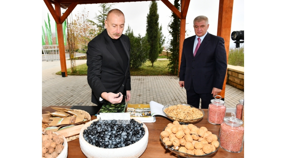 prezident-sheki-oguz-aqroparkinda-yaradilan-sheraitle-tanish-olub