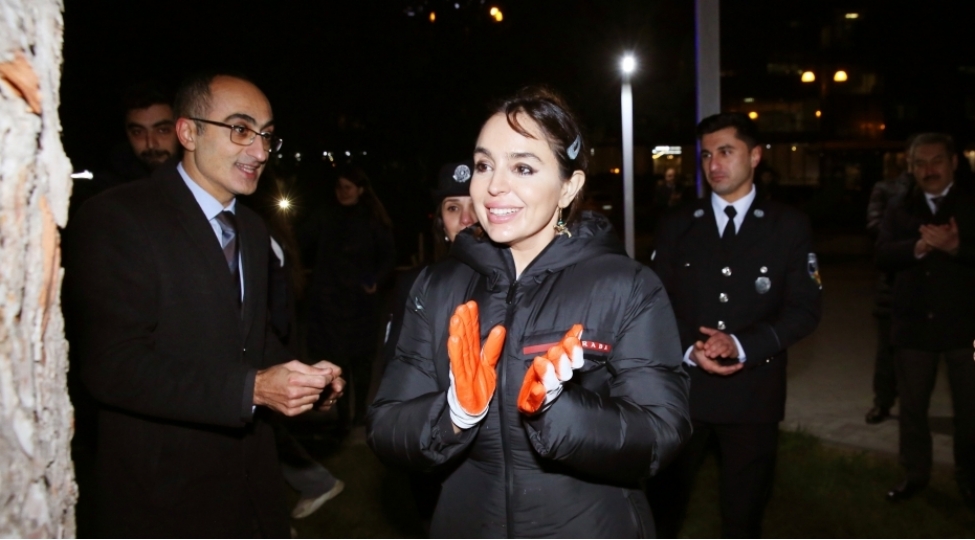 leyla-eliyevanin-teshebbusu-ile-bakida-agaclarin-qeydiyyati-ve-nomrelenmesi-uzre-layiheye-start-verilib-foto