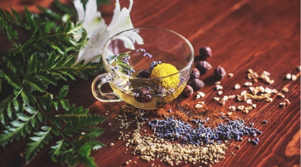 bitki-chaylari-haqda-bunlari-bilirsiniz