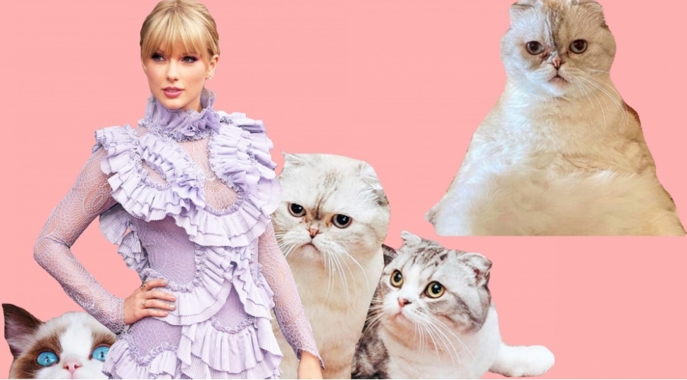 teylor-sviftin-pishiyinin-97-milyon-dollar-serveti-var