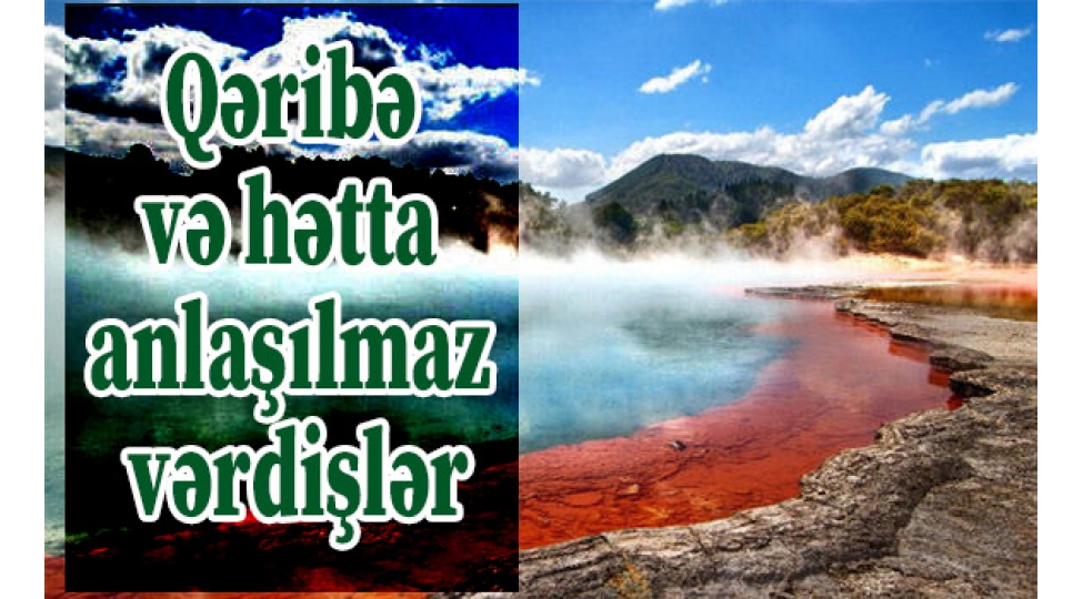 qeribe-ve-hetta-anlashilmaz-verdishler