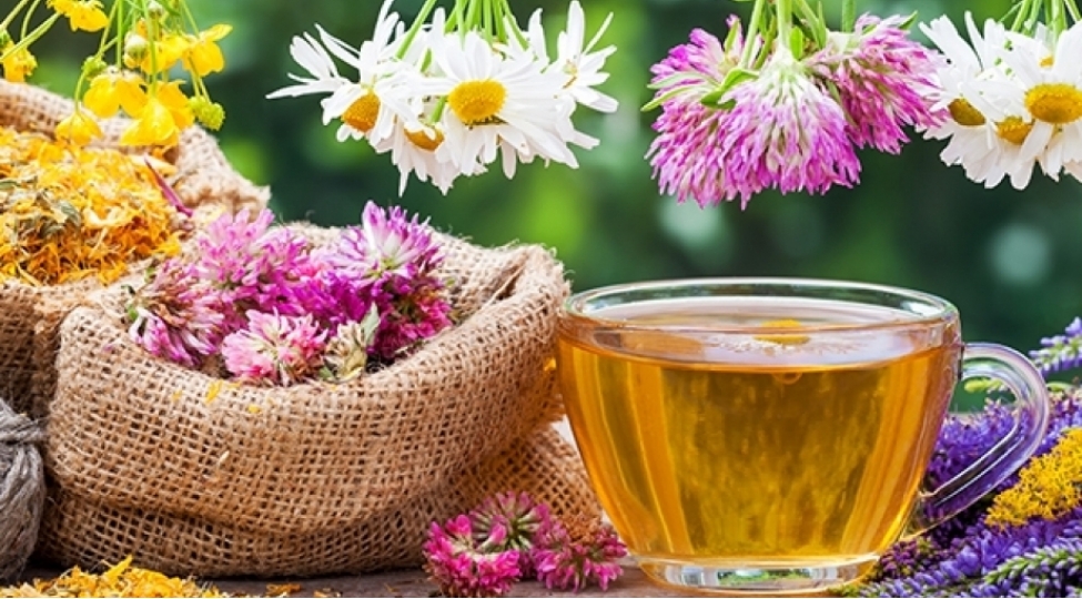 bitki-chaylarinin-faydasi-ve-zereri