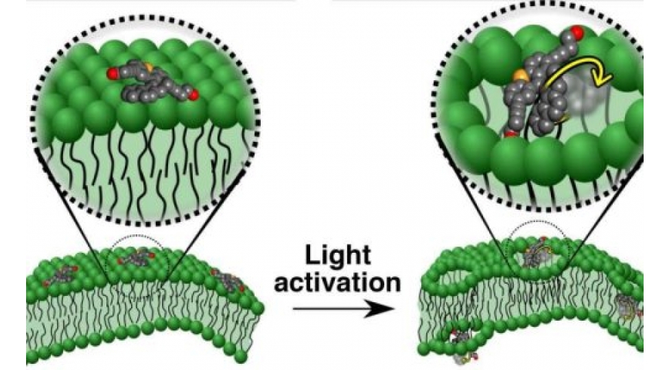 xercheng-huceyrelerini-olduren-molekulyar-nanomashinlar-yaradilib