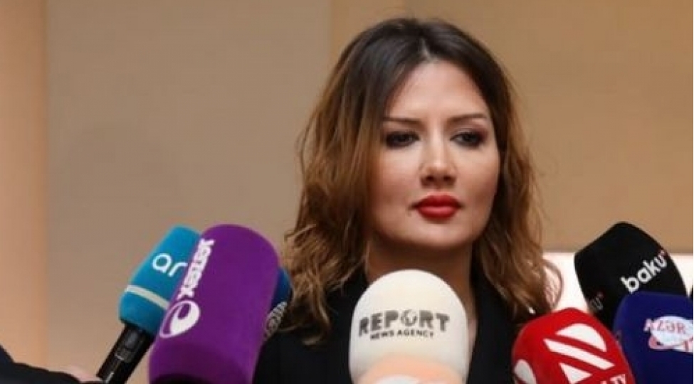 qayidish-konsepsiyasi-layihesi-ile-bagli-xarici-ekspertlerden-de-teklifler-daxil-olur-qerbi-azerbaycan-icmasi