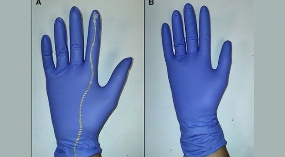 ana-ve-korpesine-yardim-eden-agilli-elcek-yaradildi