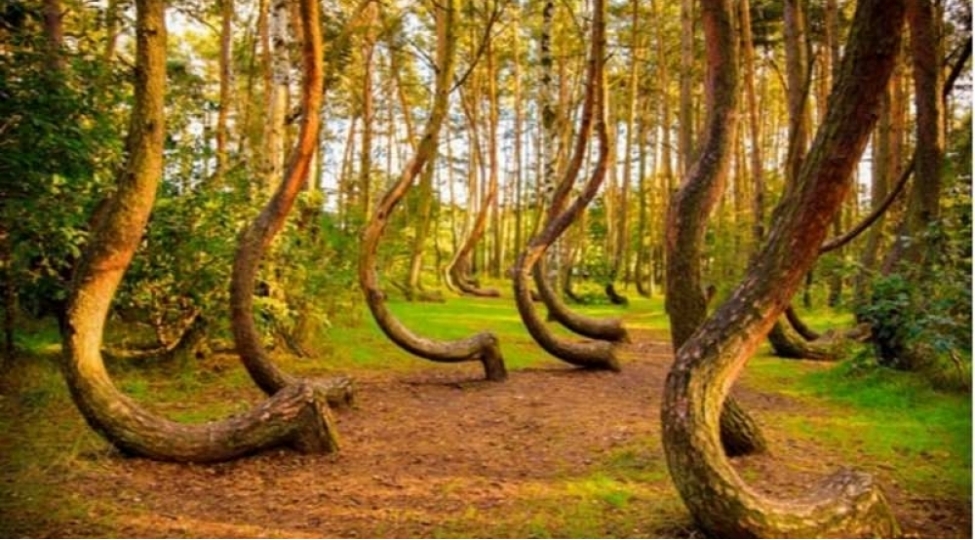 sirli-mekanlara-seyahete-hazirsinizmi-fotolar