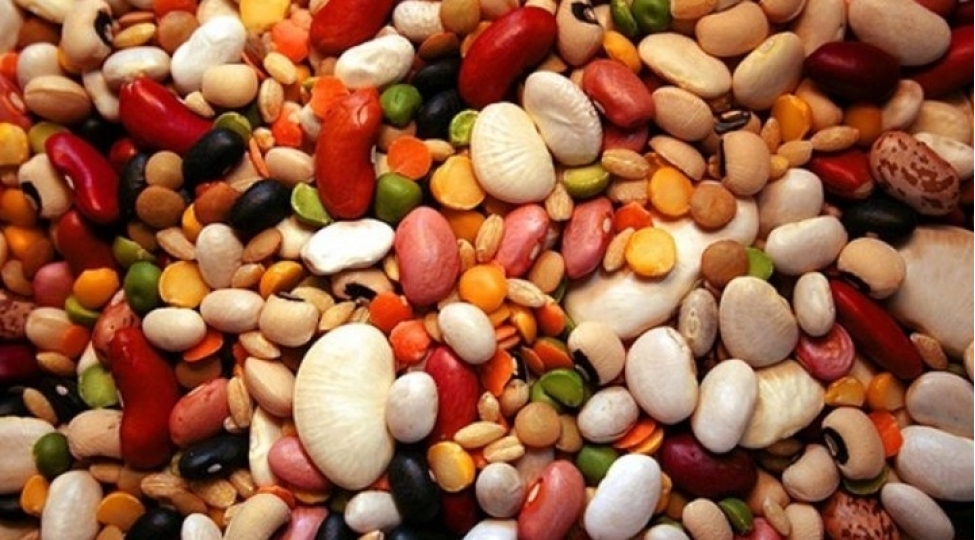 paxlali-bitkileri-sevmek-uchun-yeddi-sebeb