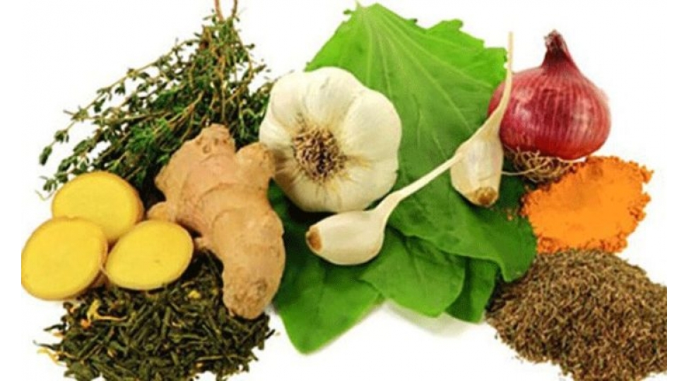 antibiotiklerden-geri-qalmayan-tebii-vasiteler