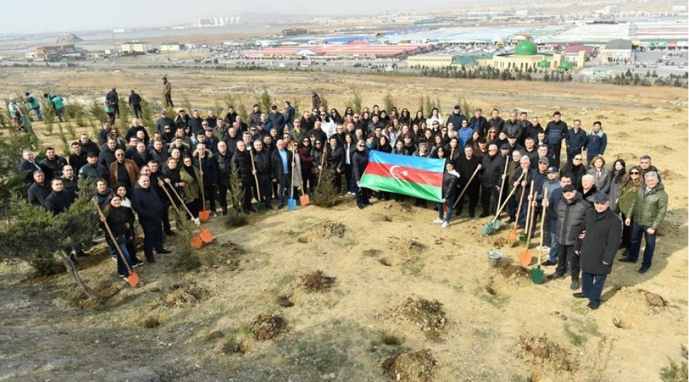 mehkeme-hakimleri-heyder-eliyevin-100-illiyine-hesr-olunan-agacekme-aksiyasinda-ishtirak-edibler