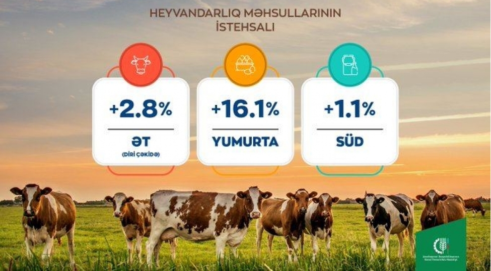 azerbaycanda-et-ve-yumurta-istehsali-artib