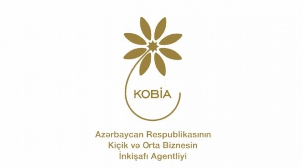 kobia-almaniyada-ixtisasartirma-kursu-kechmek-isteyen-sahibkarlara-muraciet-edib