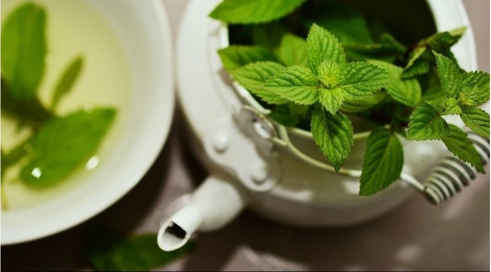 nanenin-orqanizme-5-faydasi