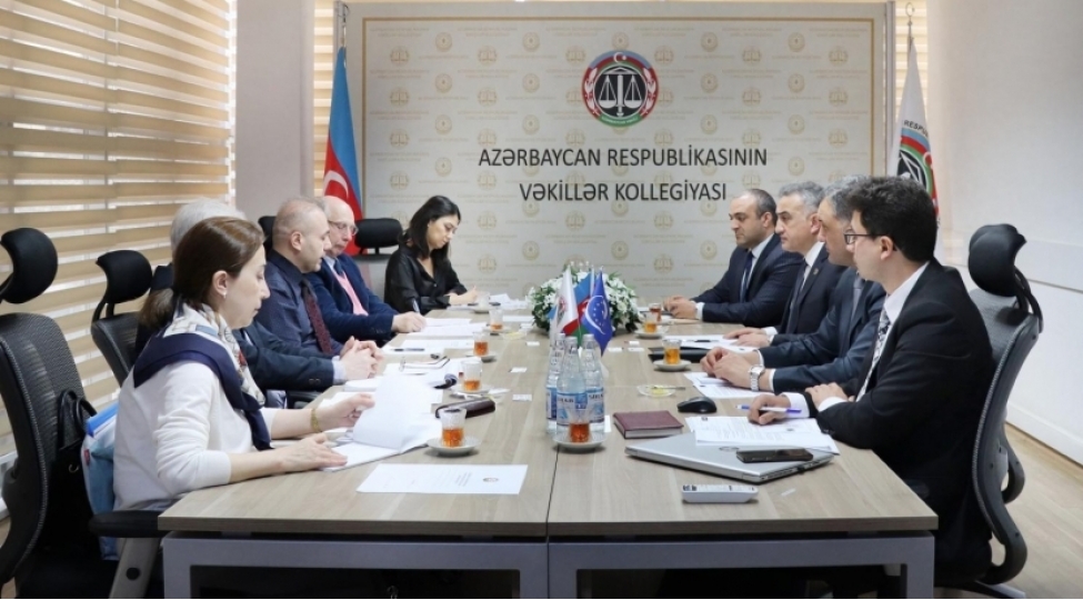 vekiller-kollegiyasinda-avropa-shurasinin-numayende-heyeti-ile-gorush-olub