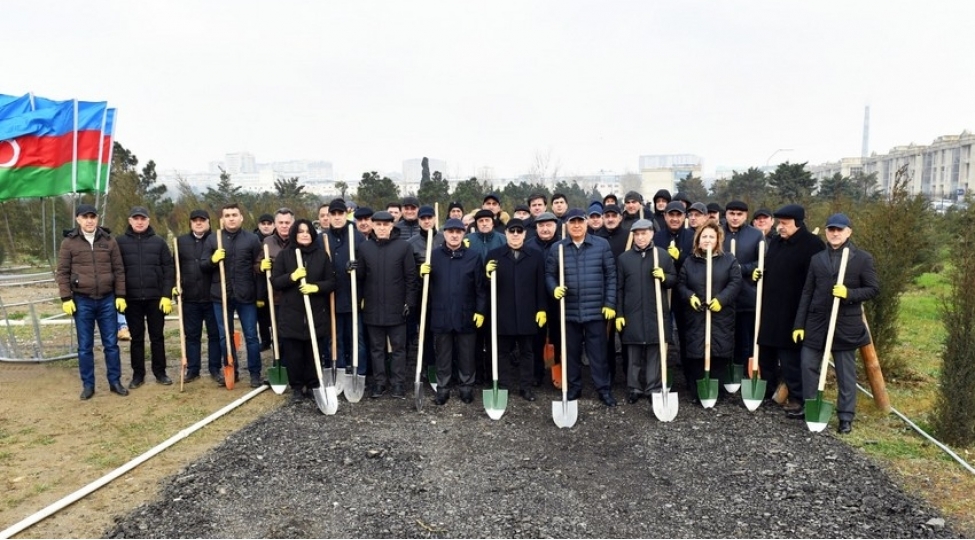 heyder-eliyevin-100-illiyine-hesr-olunan-agacekme-aksiyasi-kechirilib