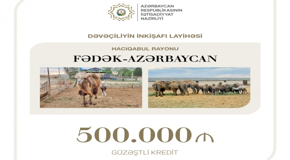 devechiliyin-inkishafi-uchun-yarim-milyon-manat-kredit-ayrilib