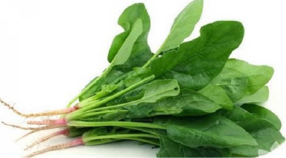 ispanaq-kok-chugundur-nar-shiresi