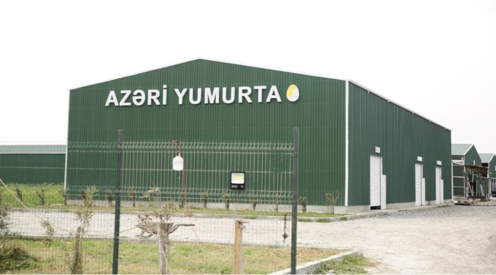 xachmazda-istehsal-gucu-100-min-yumurta-olan-muessise-tikilir