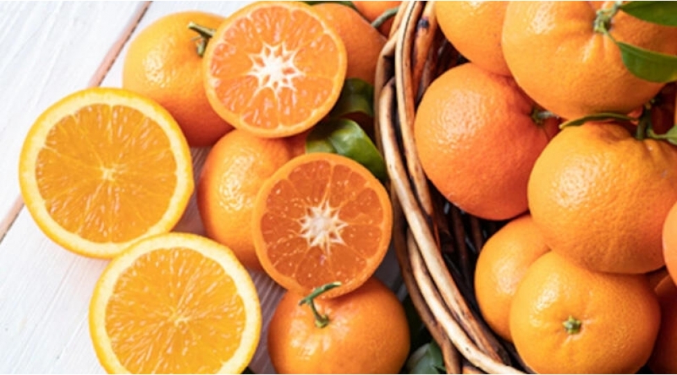 her-gun-1-portagal-yeseniz-mocuzeni-goreceksiniz