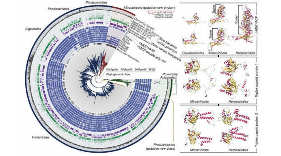 yeni-virus-mirus-tapilib