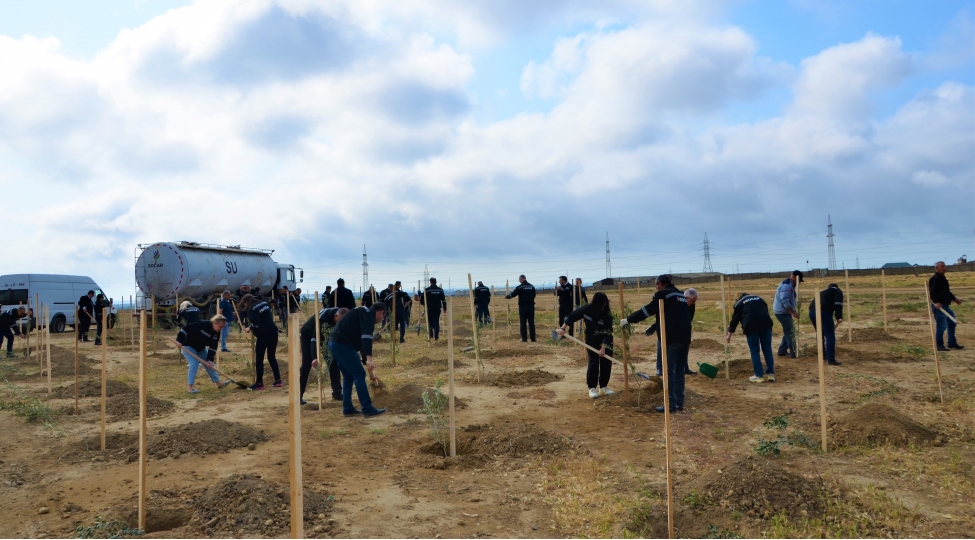 socar-petroleum-qsc-ulu-onder-heyder-eliyevin-100-illik-yubileyi-ile-elaqedar-agacekme-aksiyasi-kechirib