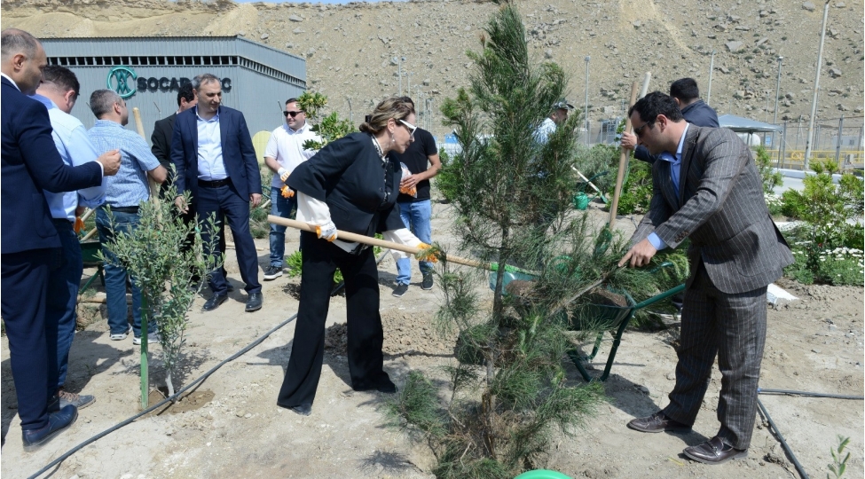 umummilli-lider-heyder-eliyevin-100-illik-yubileyi-munasibetile-cepi-terefinden-agacekme-kampaniyasi-kechirilib-foto