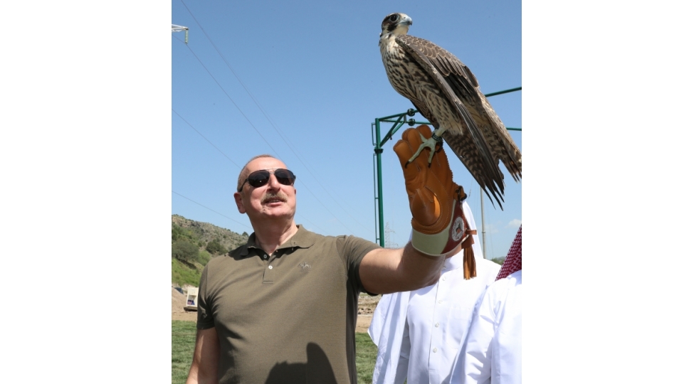 lachin-rayonunda-sherqi-qafqaz-turlari-ve-shahin-qushlari-tebiete-muxtelif-nov-baliqlar-hekeri-chayina-buraxilib-foto
