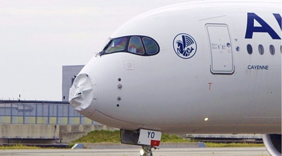 teyyare-qush-surusu-ile-toqqusharaq-ciddi-zede-alib