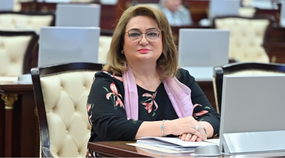 azerbaycan-genci-sulhun-davamliligin-ve-rifahin-esas-hereketverici-quvvesidir