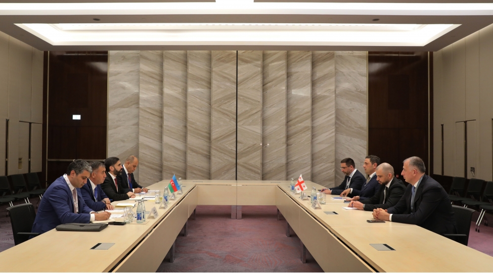 socar-prezidenti-gurcustanin-iqtisadiyyat-ve-davamli-inkishaf-nazirinin-birinci-muavini-ile-gorushub-foto