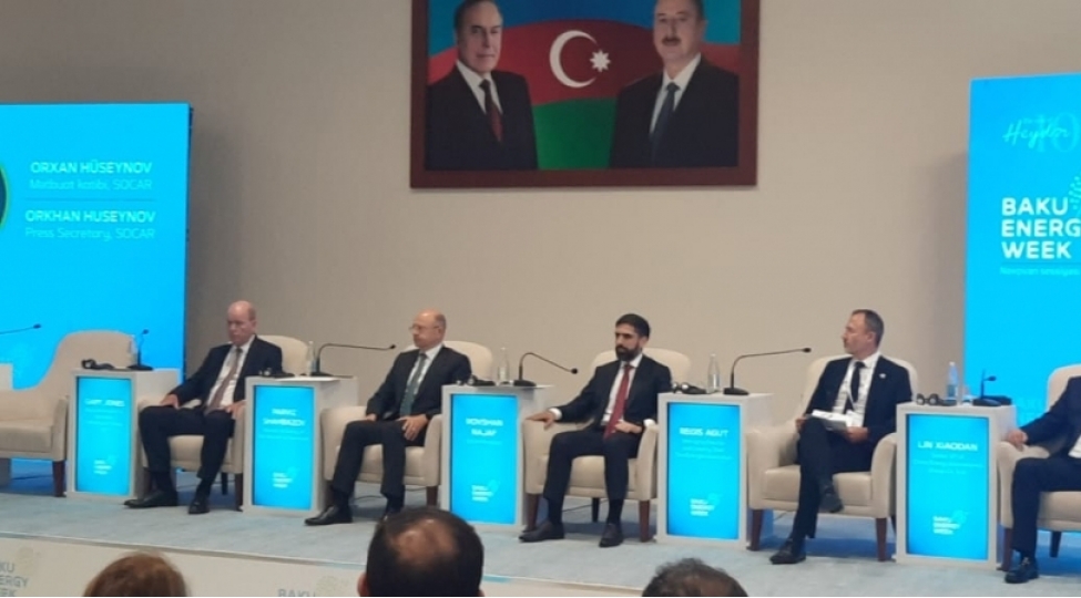 naxchivan-ve-sherqi-zengezurun-yashil-enerji-potensiali-movzusunda-xususi-sessiya-kechirilir