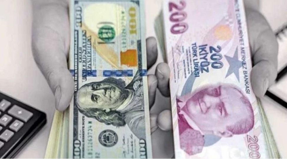 turkiyede-dollartl-mezennesi-2365-seviyyesine-yukselib