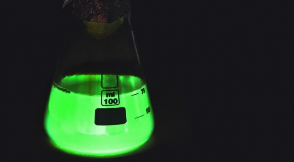 yashil-qanin-olmasi-dogrudurmu