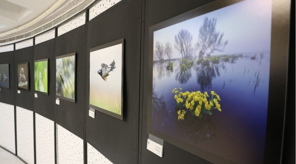 tebiet-mocuzeleri-adli-foto-sergi-achilib-foto