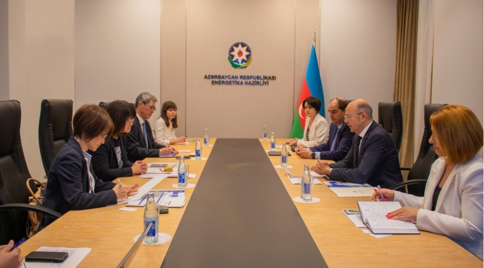 ucqar-dag-kendlerinin-enerji-teminati-uzre-yaponiya-shirketi-ile-emekdashliq-muzakire-edilib