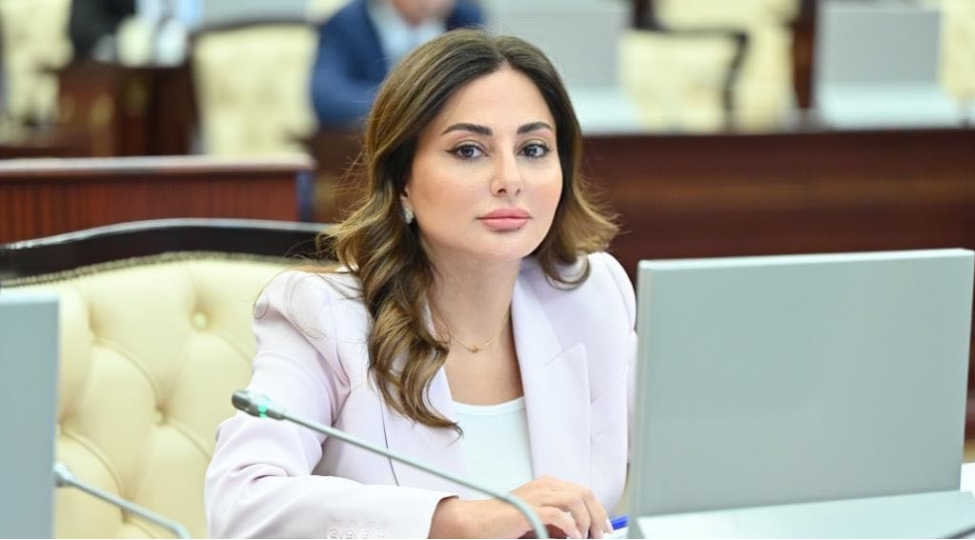 emine-agazade-muzakire-edilen-qanun-layihesi-chox-muhum-deyishiklikleri-ehtiva-edir