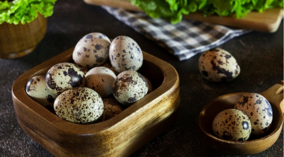 bildirchin-yumurtasinin-faydalari