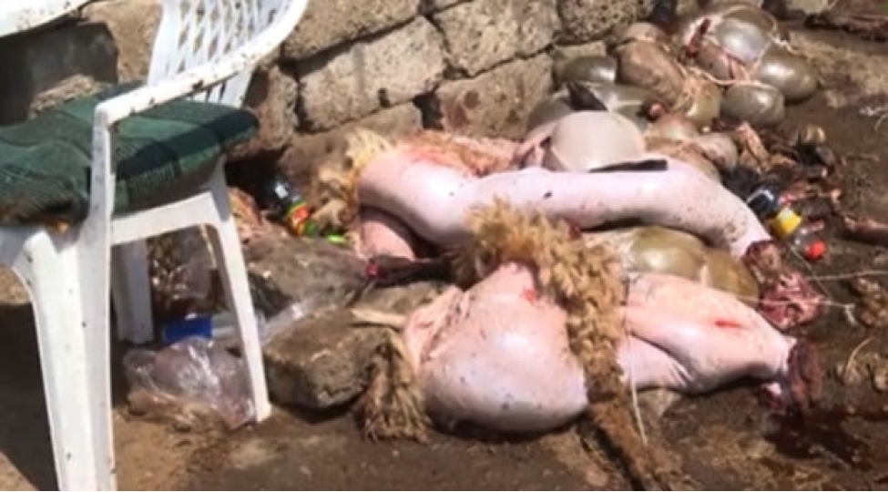 et-kesimi-menteqelerinde-antisanitar-veziyyete-nezaret-yoxdur-video