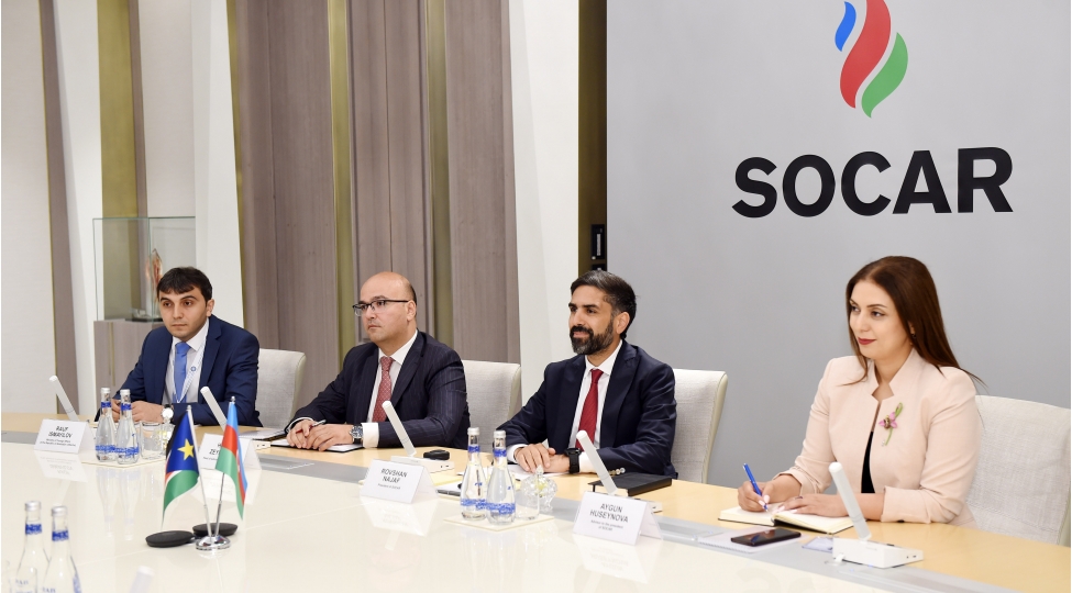 rovshen-necef-cenubi-sudan-respublikasi-resmisi-denq-dau-denq-malek-ile-gorushub-foto