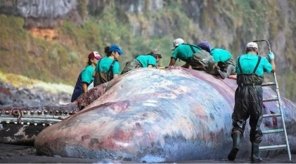 olubalinadan-500-min-dollarliq-miras-foto