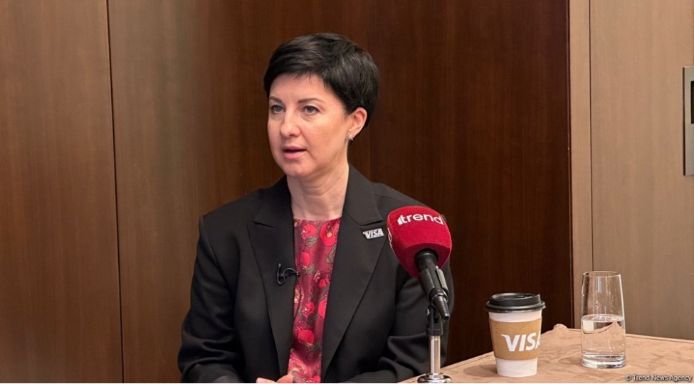 kristina-dorosh-reqemsal-manatin-visa-shebekesine-inteqrasiyasi-uzre-danishiqlar-aparilir
