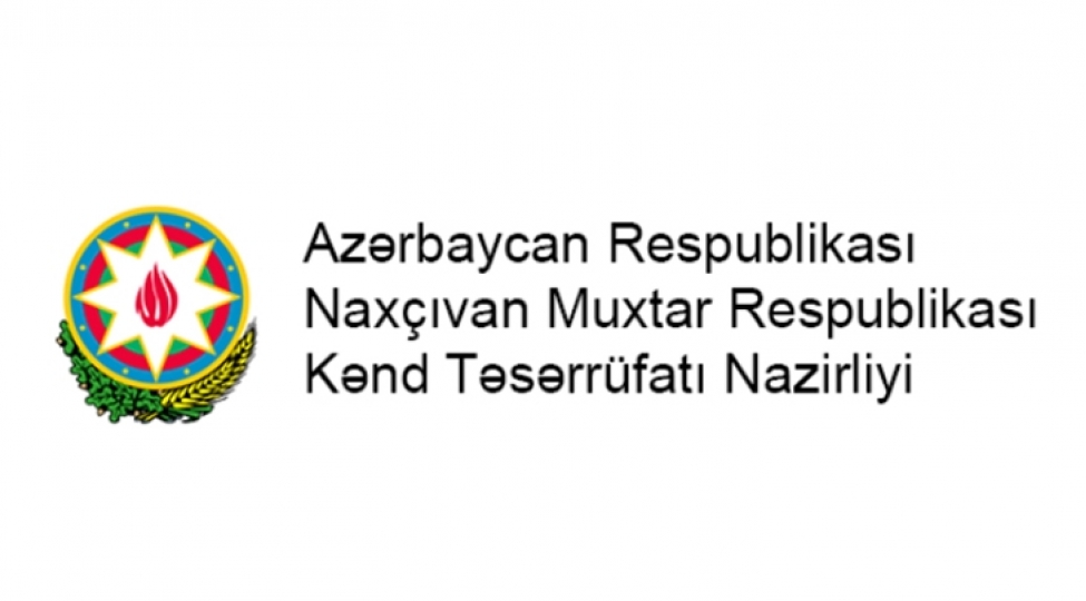 naxchivanda-yeni-infrastruktur-layihesinin-icrasina-bashlanilir