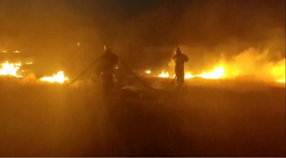 naxchivanin-sederek-rayonunda-taxil-sahesinde-yangin-bash-verib-fotovideo